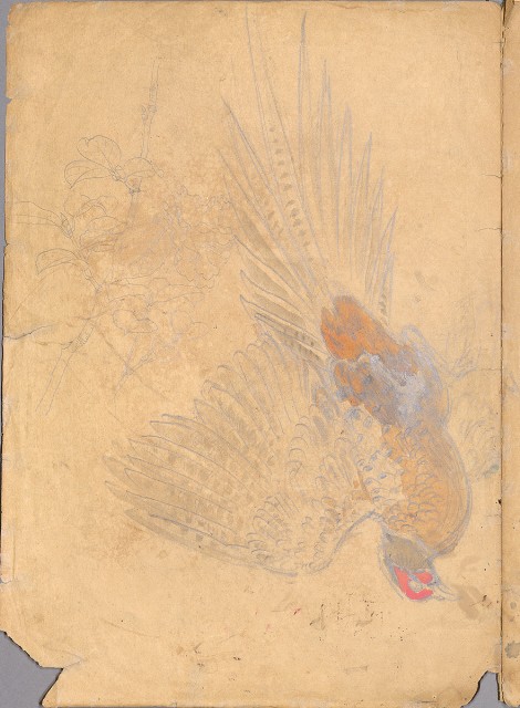 藏品:日治時期動物及植物、景觀等寫生集的(53)張圖片