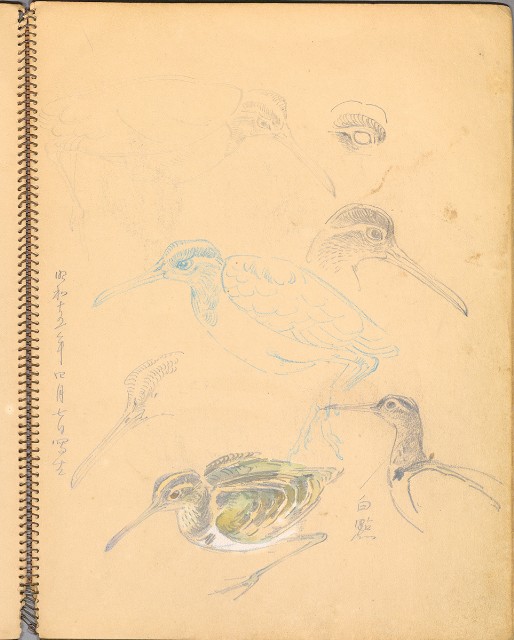 藏品:鳥、花、機械044的(3)張圖片