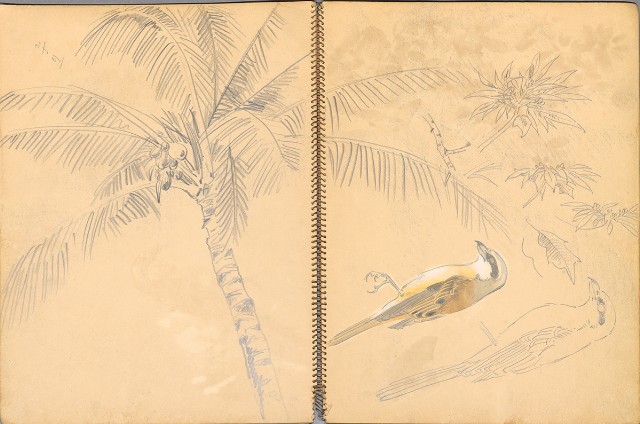 藏品:鳥、花、機械044的(10)張圖片