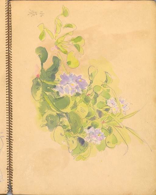 藏品:鳥、花、機械044的(25)張圖片