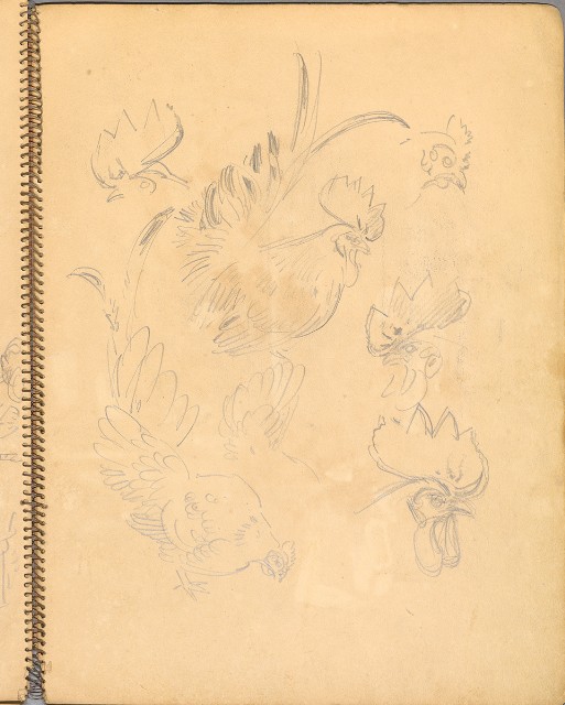 藏品:鳥、花、機械044的(27)張圖片