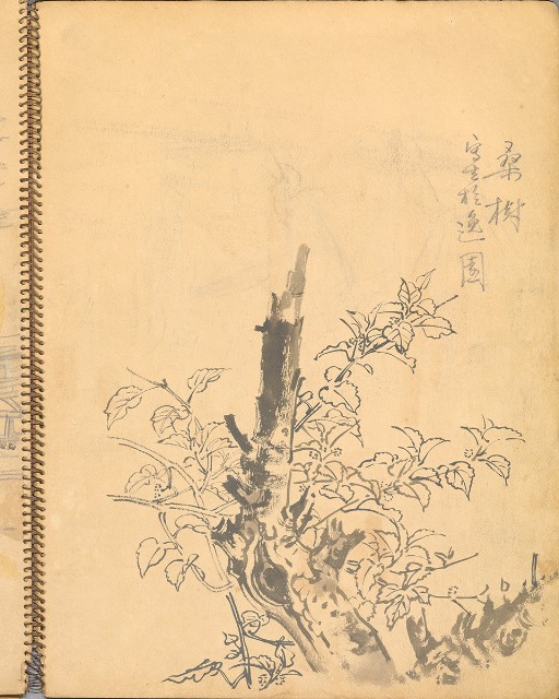 藏品:鳥、花、機械044的(29)張圖片