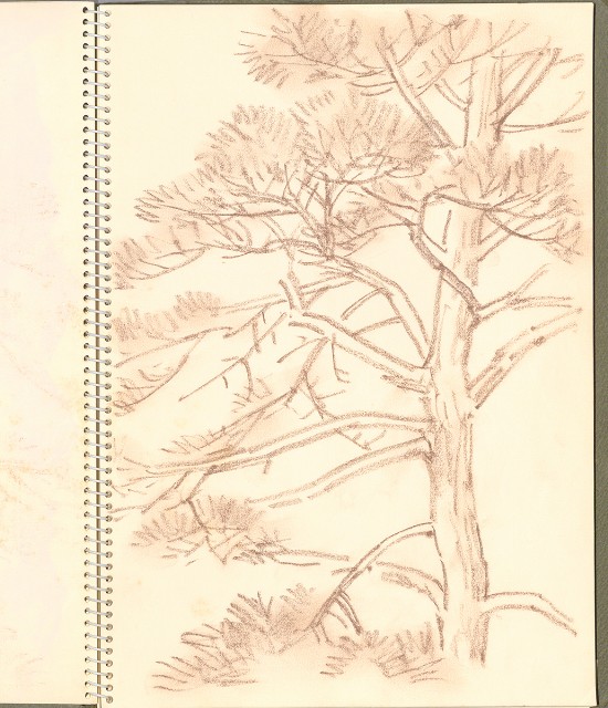 藏品:澎湖大白沙嶼及其他景觀、植物、人等寫生集的(7)張圖片