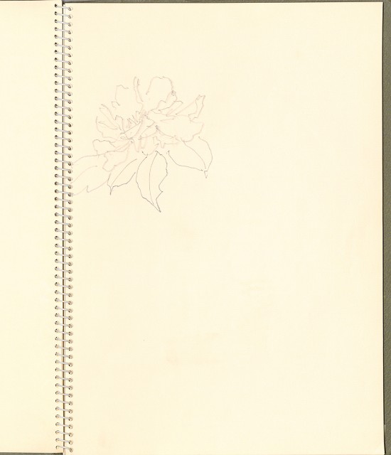 藏品:風景、植物、人046的(9)張圖片