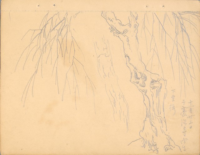 藏品:植物、動物、佛像等047的(3)張圖片