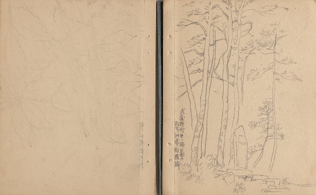 藏品:日治時期日本京都、江之島及動物、植物等寫生集的(5)張圖片