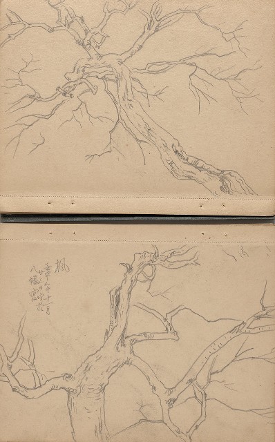 藏品:日治時期日本京都、江之島及動物、植物等寫生集的(6)張圖片