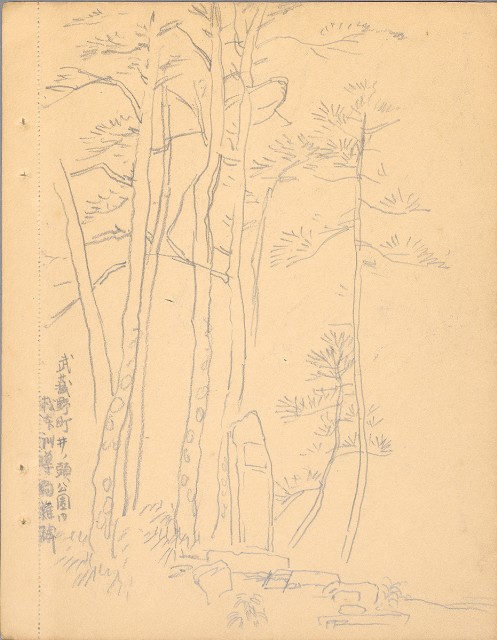 藏品:植物、動物、佛像等047的(7)張圖片