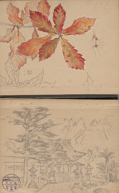 藏品:日治時期日本京都、江之島及動物、植物等寫生集的(9)張圖片