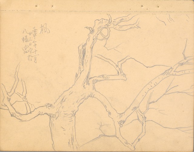 藏品:植物、動物、佛像等047的(9)張圖片