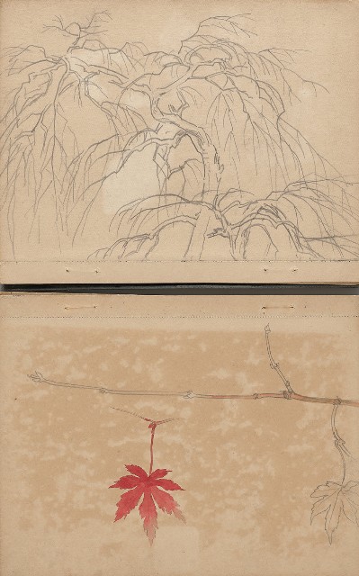 藏品:日治時期日本京都、江之島及動物、植物等寫生集的(10)張圖片