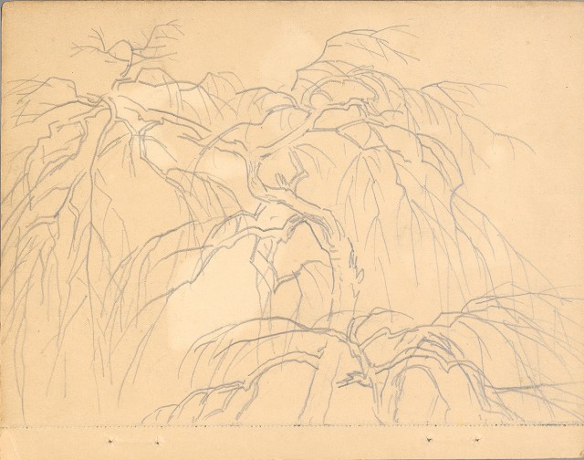 藏品:植物、動物、佛像等047的(15)張圖片