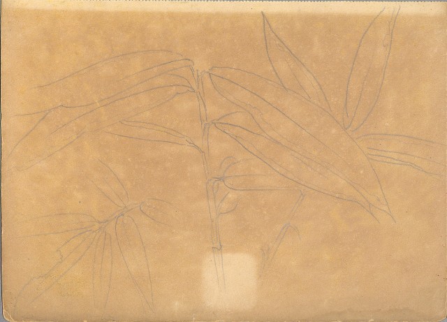 藏品:植物、動物、佛像等047的(18)張圖片