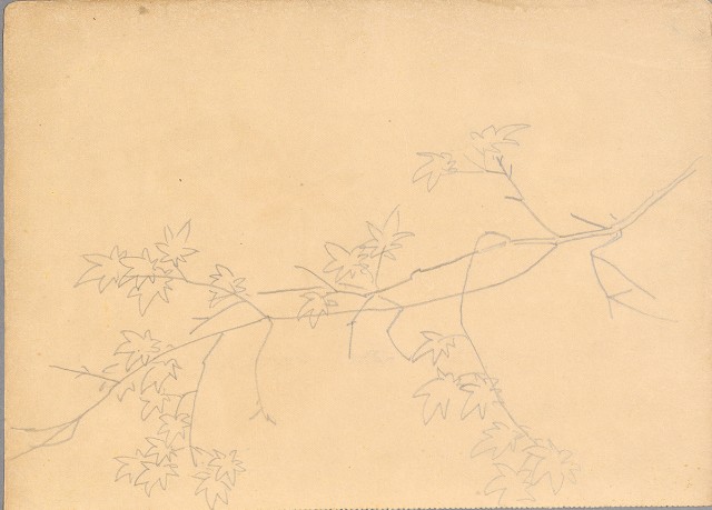 藏品:植物、動物、佛像等047的(19)張圖片