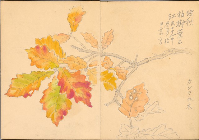 藏品:植物、動物、佛像等047的(21)張圖片