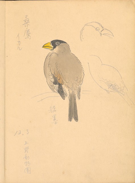 藏品:植物、動物、佛像等047的(25)張圖片