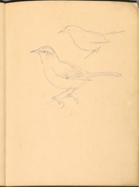 藏品:植物、動物、佛像等047的(32)張圖片