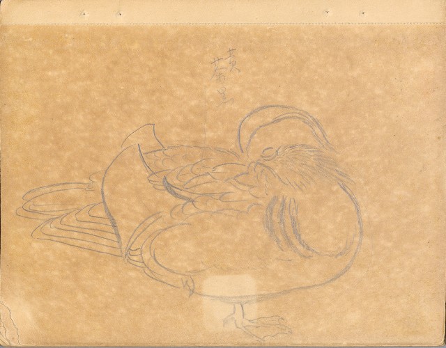 藏品:植物、動物、佛像等047的(39)張圖片