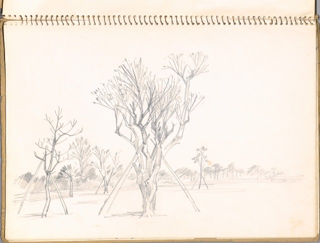 藏品:鳥、花、動物等048的(6)張圖片