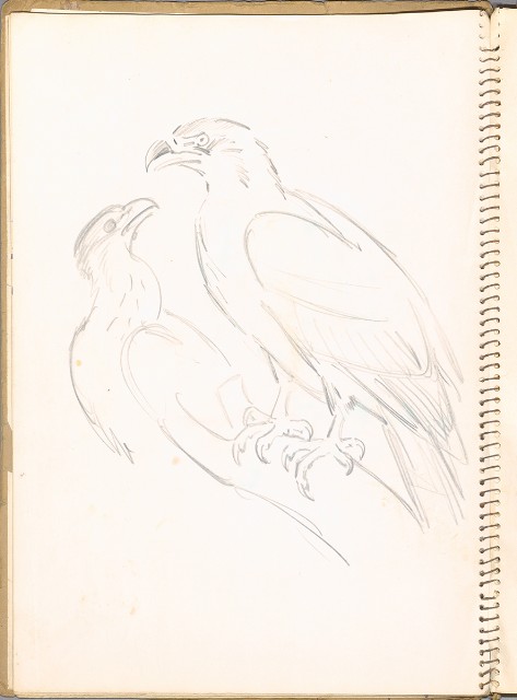 藏品:鳥、花、動物等048的(8)張圖片