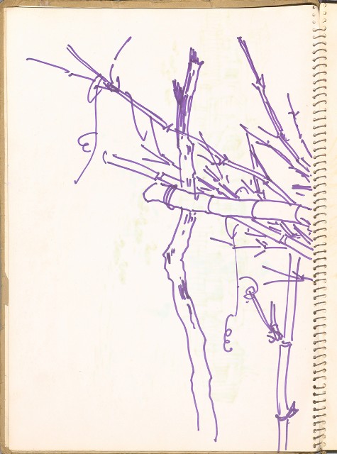 藏品:鳥、花、動物等048的(11)張圖片