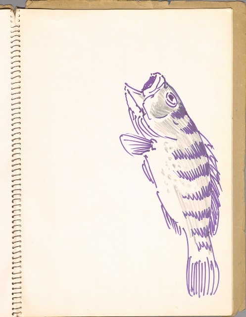 藏品:鳥、花、動物等048的(12)張圖片