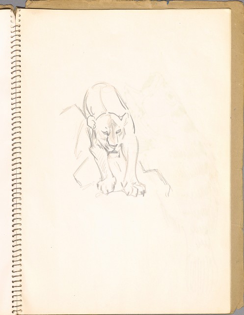 藏品:鳥、花、動物等048的(13)張圖片