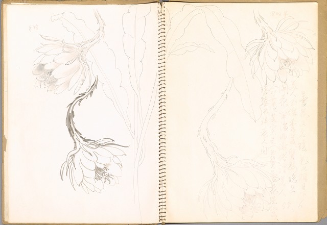 藏品:鳥、花、動物等048的(14)張圖片