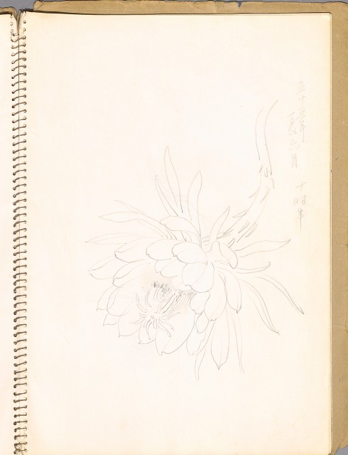 藏品:鳥、花、動物等048的(15)張圖片