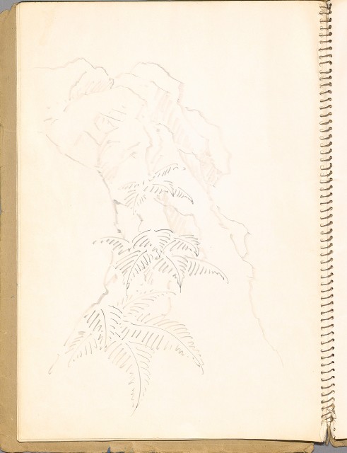 藏品:鳥、花、動物等048的(18)張圖片