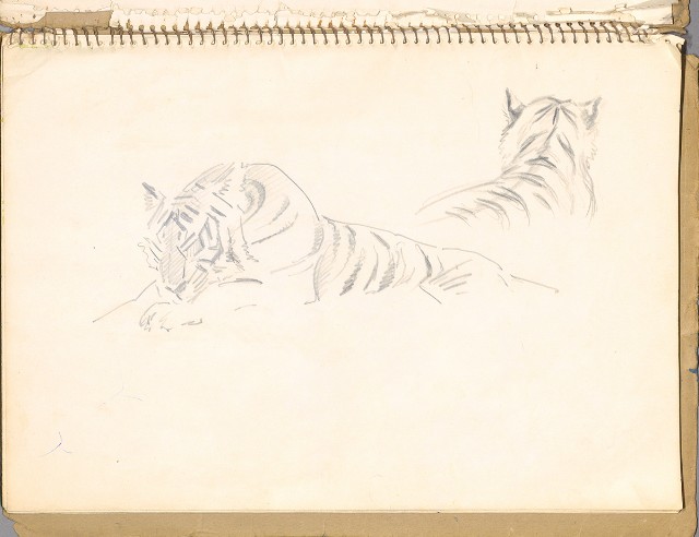 藏品:鳥、花、動物等048的(20)張圖片