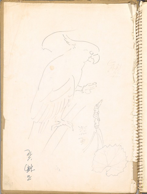 藏品:鳥、花、動物等048的(21)張圖片