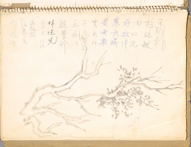 藏品:鳥、花、動物等048的(22)張圖片