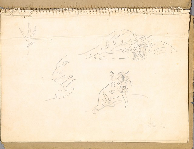 藏品:鳥、花、動物等048的(24)張圖片