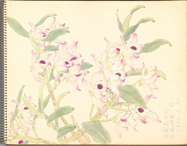 藏品:鷺、羊、鹿、海景等049的(2)張圖片