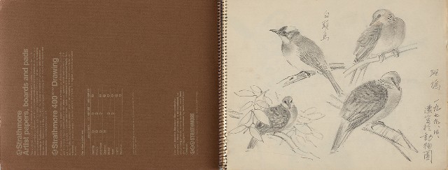 藏品:動物、植物、北海岸景觀寫生集的(2)張圖片