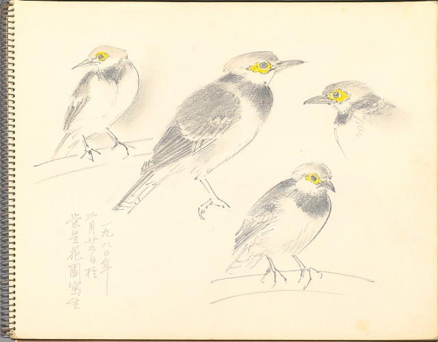 藏品:鷺、羊、鹿、海景等049的(3)張圖片