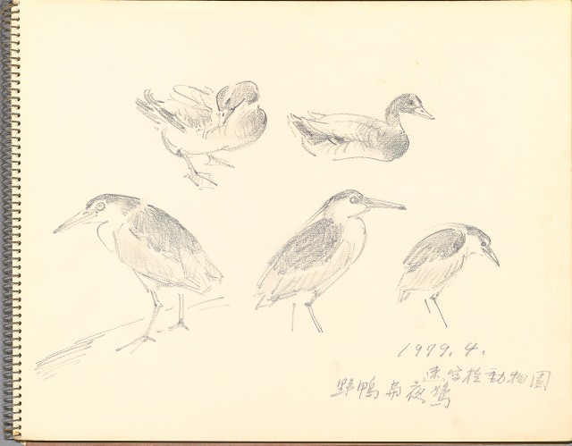 藏品:鷺、羊、鹿、海景等049的(4)張圖片