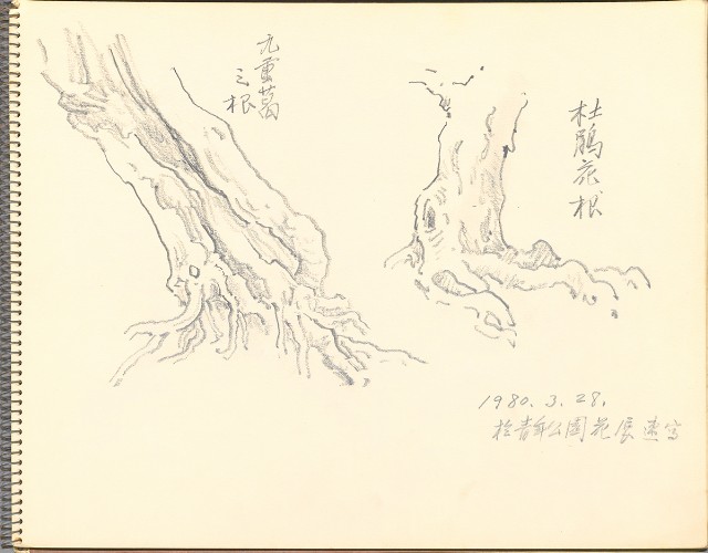 藏品:鷺、羊、鹿、海景等049的(5)張圖片