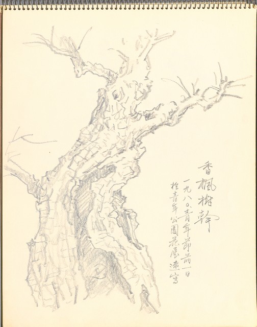 藏品:鷺、羊、鹿、海景等049的(6)張圖片