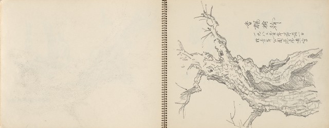 藏品:動物、植物、北海岸景觀寫生集的(7)張圖片