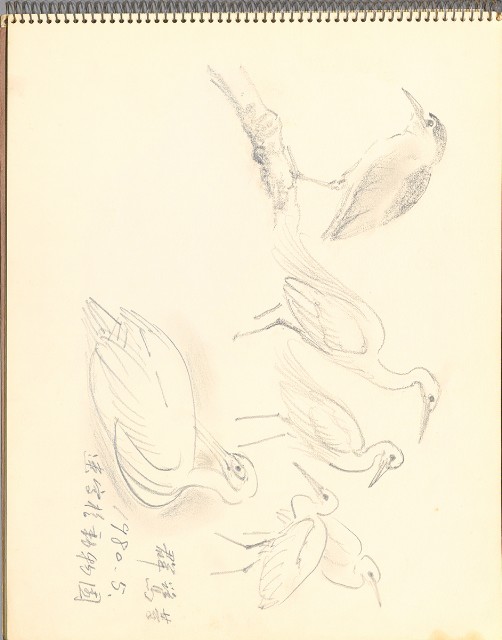 藏品:鷺、羊、鹿、海景等049的(8)張圖片