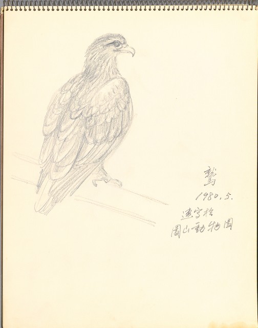 藏品:鷺、羊、鹿、海景等049的(9)張圖片