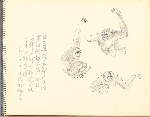 藏品:鷺、羊、鹿、海景等049的(11)張圖片