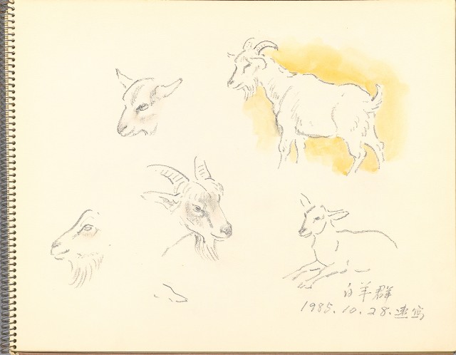 藏品:鷺、羊、鹿、海景等049的(12)張圖片