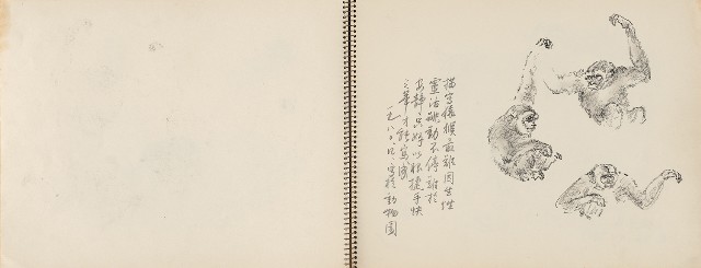 藏品:動物、植物、北海岸景觀寫生集的(12)張圖片