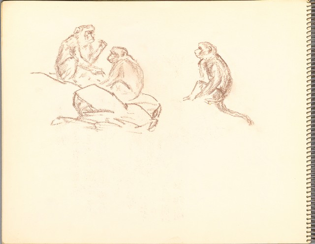 藏品:鷺、羊、鹿、海景等049的(13)張圖片