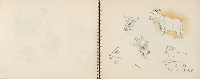 藏品:動物、植物、北海岸景觀寫生集的(13)張圖片