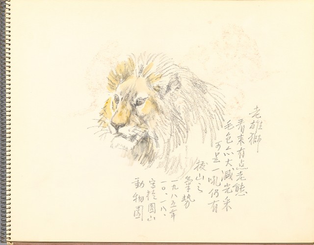 藏品:鷺、羊、鹿、海景等049的(14)張圖片