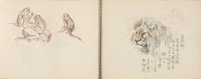 藏品:動物、植物、北海岸景觀寫生集的(14)張圖片